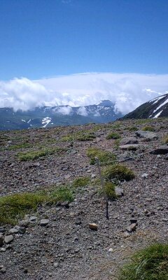 100731_1100~0001.jpg